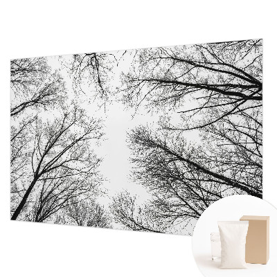 Papel de parede fotográfico Galhos nus