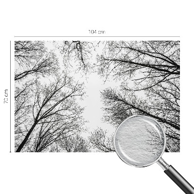 Papel de parede fotográfico Galhos nus