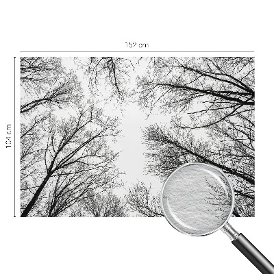 Papel de parede fotográfico Galhos nus