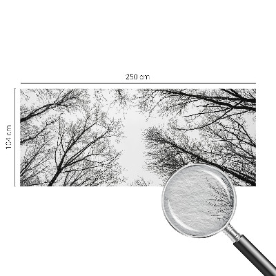 Papel de parede fotográfico Galhos nus