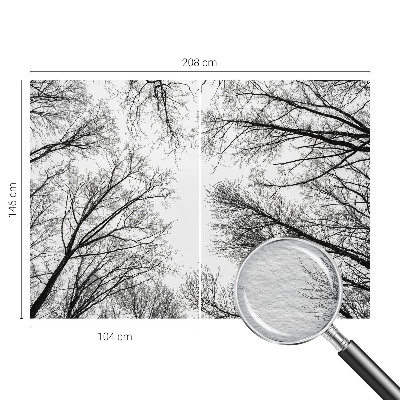 Papel de parede fotográfico Galhos nus