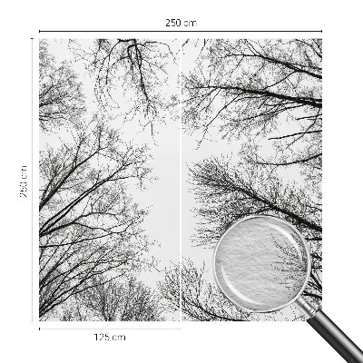 Papel de parede fotográfico Galhos nus