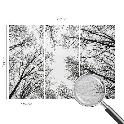 Papel de parede fotográfico Galhos nus
