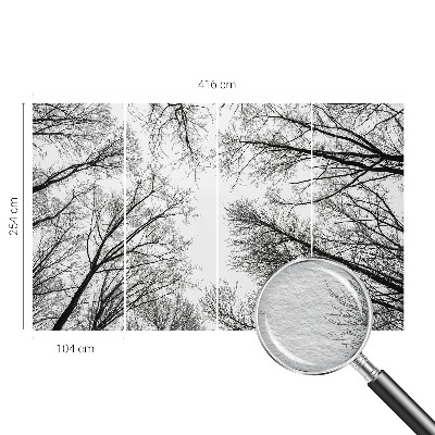 Papel de parede fotográfico Galhos nus