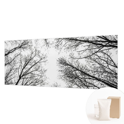 Papel de parede fotográfico Galhos nus