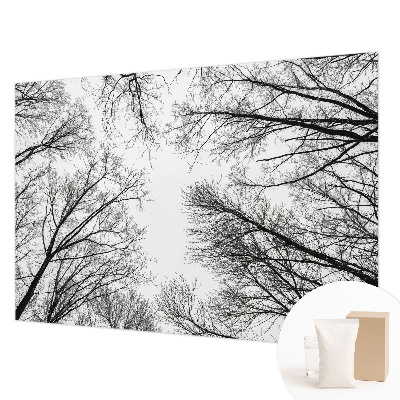 Papel de parede fotográfico Galhos nus
