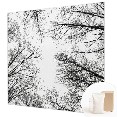 Papel de parede fotográfico Galhos nus