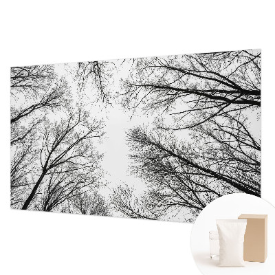 Papel de parede fotográfico Galhos nus