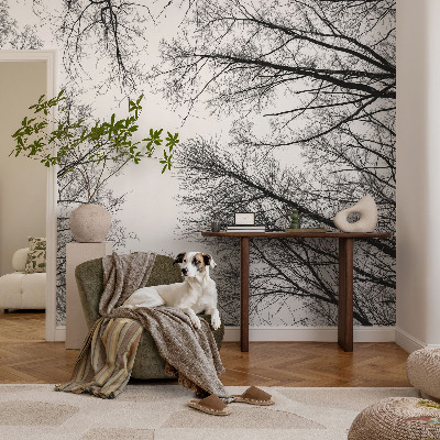 Papel de parede fotográfico Galhos nus