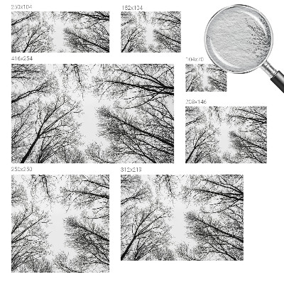 Papel de parede fotográfico Galhos nus