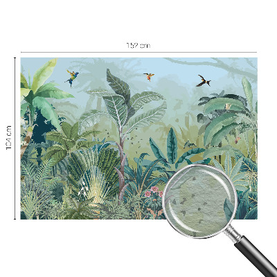 Mural fotográfico Natureza tropical