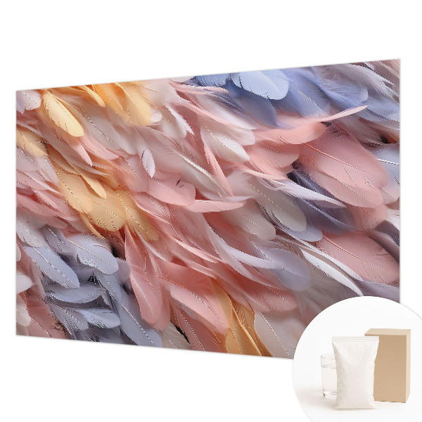 Papel de parede decorativo Penas em tons pastel