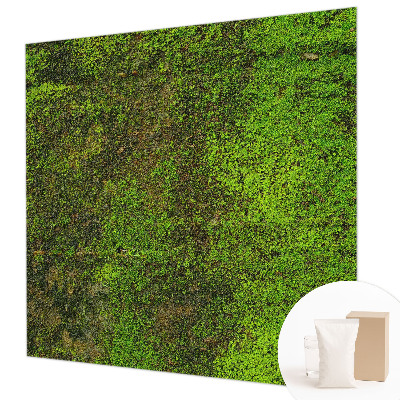 Papel de parede Tapete verde