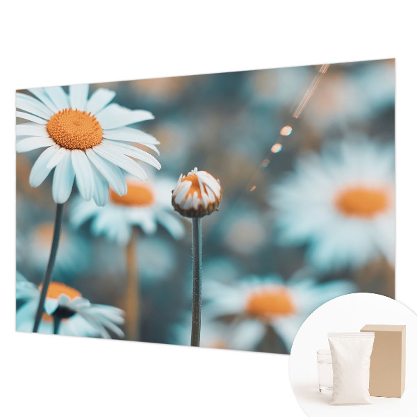 Papel de parede fotográfico Delícia de camomila