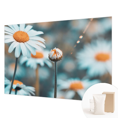 Papel de parede fotográfico Delícia de camomila