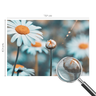 Papel de parede fotográfico Delícia de camomila