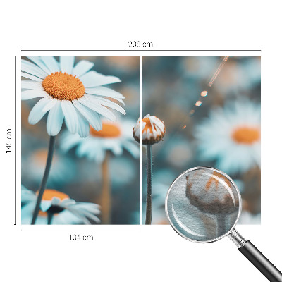 Papel de parede fotográfico Delícia de camomila