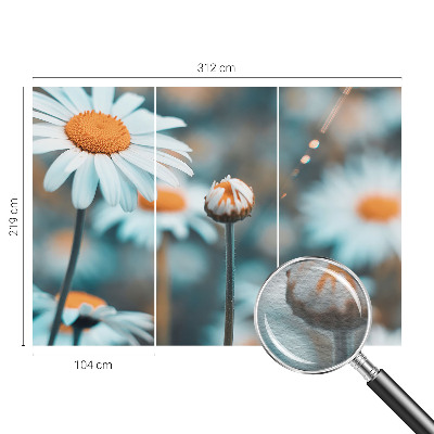 Papel de parede fotográfico Delícia de camomila