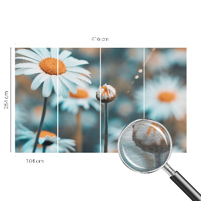 Papel de parede fotográfico Delícia de camomila