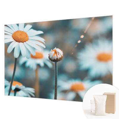 Papel de parede fotográfico Delícia de camomila