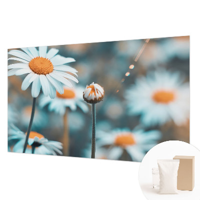Papel de parede fotográfico Delícia de camomila