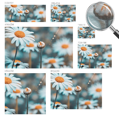 Papel de parede fotográfico Delícia de camomila