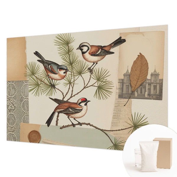 Papel de parede para quarto colagem de pássaros