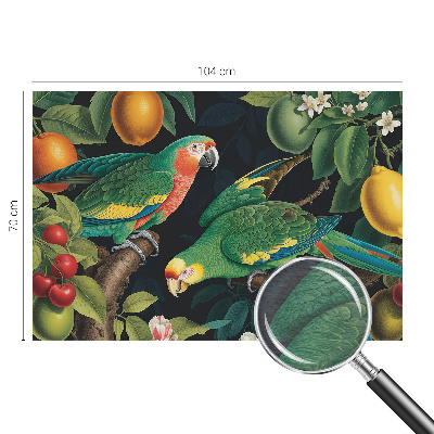 Mural fotográfico Aventura tropical