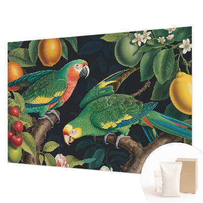Mural fotográfico Aventura tropical