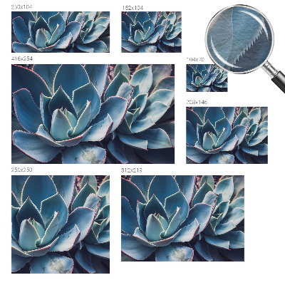 Papel de parede decorativo babosa verde