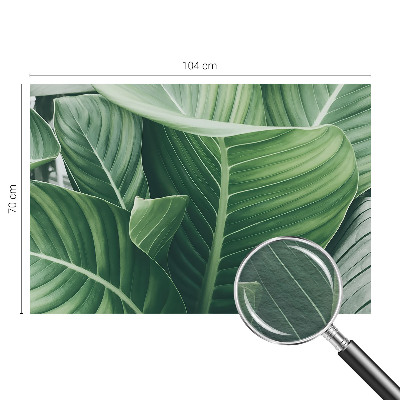 Papel de parede decorativo Paz Verde