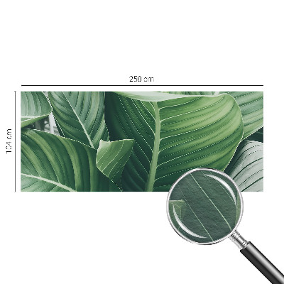 Papel de parede decorativo Paz Verde