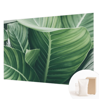 Papel de parede decorativo Paz Verde