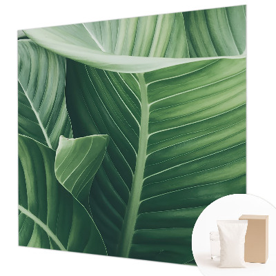 Papel de parede decorativo Paz Verde