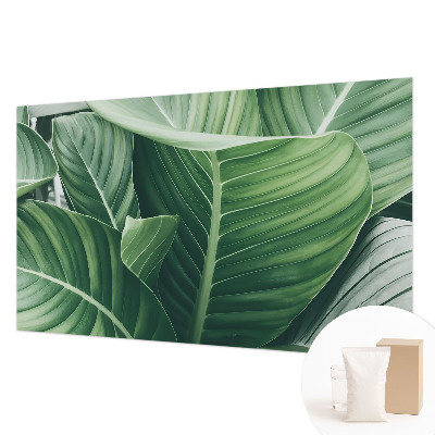 Papel de parede decorativo Paz Verde