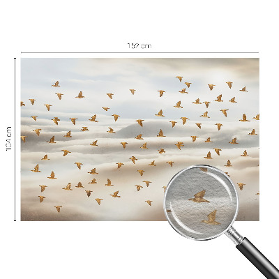 Mural de fotos na parede Pássaros em voo