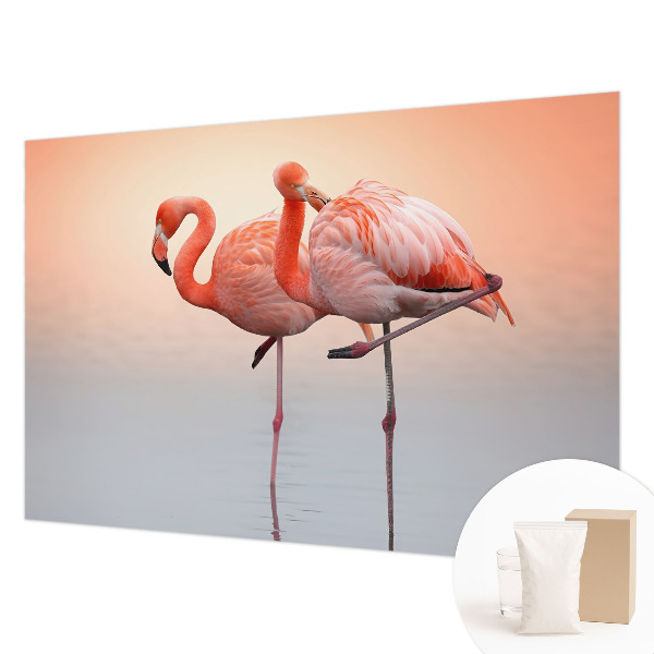 Mural fotográfico flamingos delicados