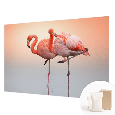 Mural fotográfico flamingos delicados