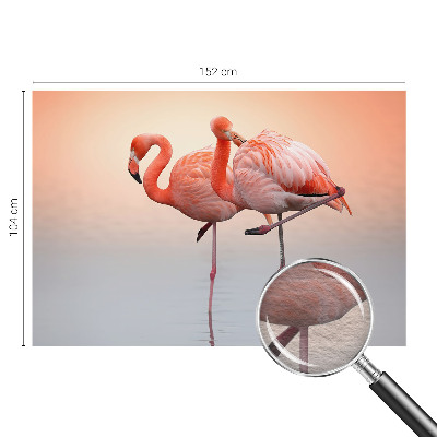 Mural fotográfico flamingos delicados