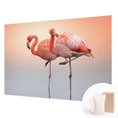 Mural fotográfico flamingos delicados