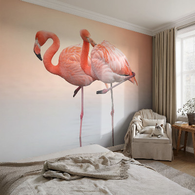 Mural fotográfico flamingos delicados