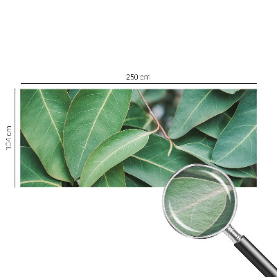 Fotomural Folhas verdes