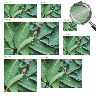 Fotomural Folhas verdes