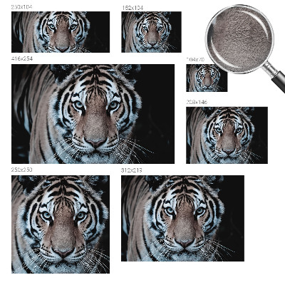 Papel de parede Retrato de tigre