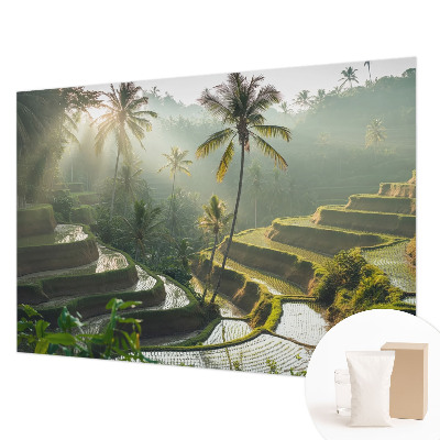 Papel de parede fotográfico Terraços paradisíacos