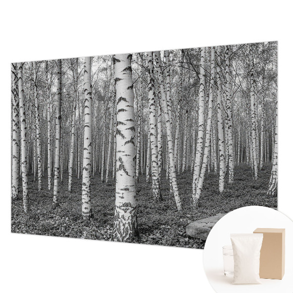 Papel de parede decorativo Floresta de bétulas