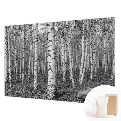 Papel de parede decorativo Floresta de bétulas