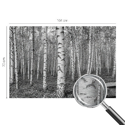 Papel de parede decorativo Floresta de bétulas