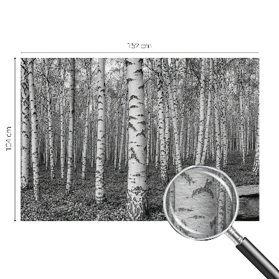 Papel de parede decorativo Floresta de bétulas