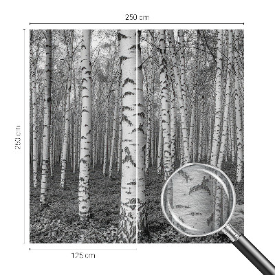 Papel de parede decorativo Floresta de bétulas